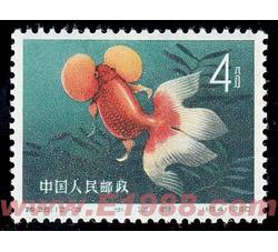 DM-特38-（12-3）金鱼（8分）