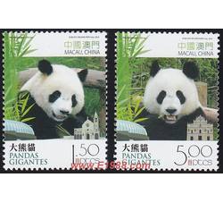 AM0165 S0129 大熊猫（2010年）