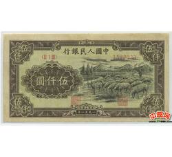 伍仟圆1-53 牧羊