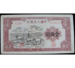 壹万圆1-57 牧马
