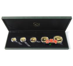 2011年熊猫金币套装（5枚全）