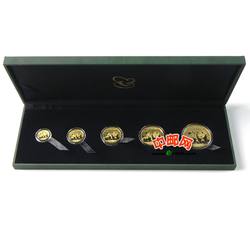 2010年熊猫金币套装（5枚全）