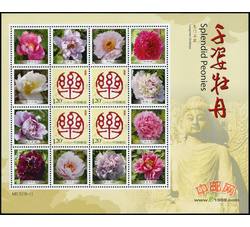 GXH436 千姿牡丹--龙门石窟个性化小版