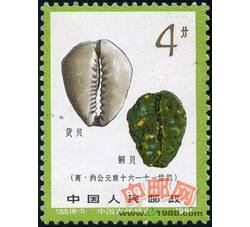 DM-T65-（8-1）中国古代钱币（第一组）（4分）