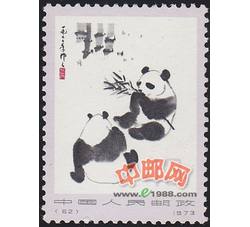DM-编62-熊猫（43分）