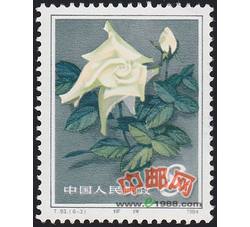 DM-T93-（6-3）月季花（8分）