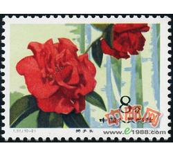 DM-T37-（10-2）云南山茶花（8分）