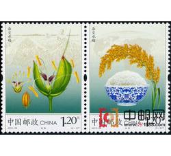 2013-29 杂交水稻