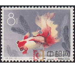 DM-特38-O（12-11）金鱼（8分）