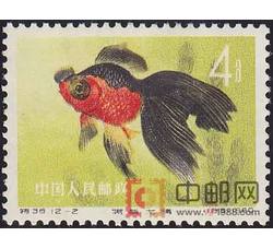 DM-特38-R（12-2）金鱼（4分）