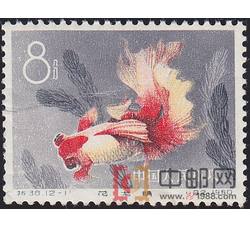 DM-特38-N（12-11）金鱼（8分）