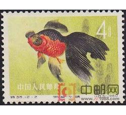 DM-特38-Q（12-2）金鱼（4分）