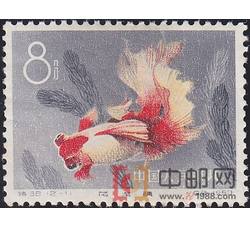 DM-特38-P（12-11）金鱼（8分）