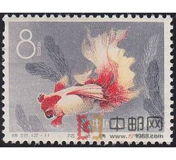 DM-特38-Q（12-11）金鱼（8分）