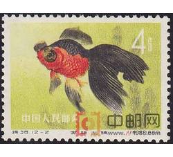 DM-特38-W（12-2）金鱼（4分）