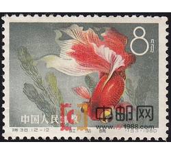 DM-特38-N（12-12）金鱼（8分）