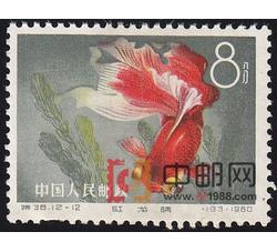 DM-特38-M（12-12）金鱼（8分）