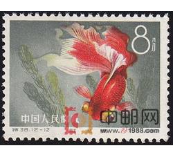 DM-特38-K（12-12）金鱼（8分）