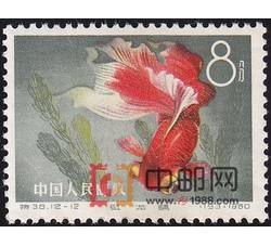 DM-特38-I（12-12）金鱼（8分）