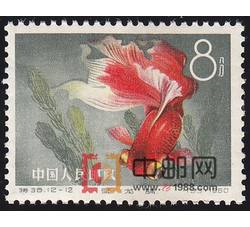 DM-特38-J（12-12）金鱼（8分）