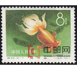 DM-特38-B（12-7）金鱼（8分）
