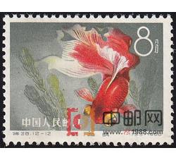 DM-特38-H（12-12）金鱼（8分）