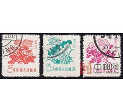 普10 花卉（盖销）