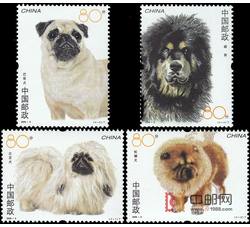 2006-6 犬