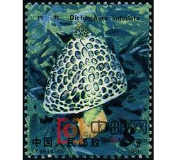 DM-T66-（6-2）食用菌（8分）