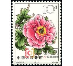 DM-特61-（15-12）牡丹（10分）