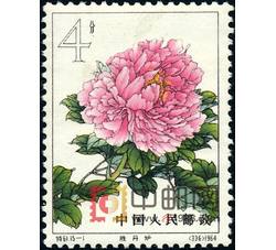 DM-特61-（15-1）牡丹（4分）