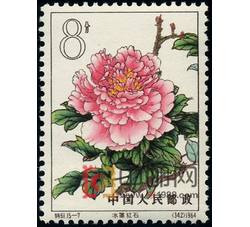 DM-特61-（15-7）牡丹（8分）
