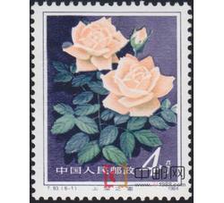 DM-T93-（6-1）月季花（4分）