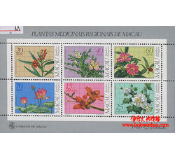 AM0488 M特8-83 药用植物（小全张）（1983年）