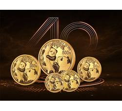 2021年熊猫普制金币套装（5枚）