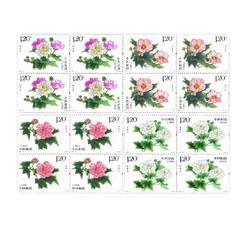 2021-18 木芙蓉（四方连）