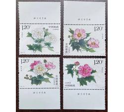 2021-18 木芙蓉（厂铭）