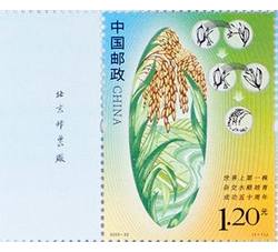 2023-22 世界上第一株杂交水稻培育成功五十周年（厂铭）