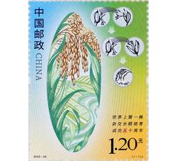 2023-22 世界上第一株杂交水稻培育成功五十周年