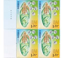 2023-22 世界上第一株杂交水稻培育成功五十周年（厂铭四方连）